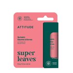 Balzám na rty Attitude Super leaves s vůní melounu